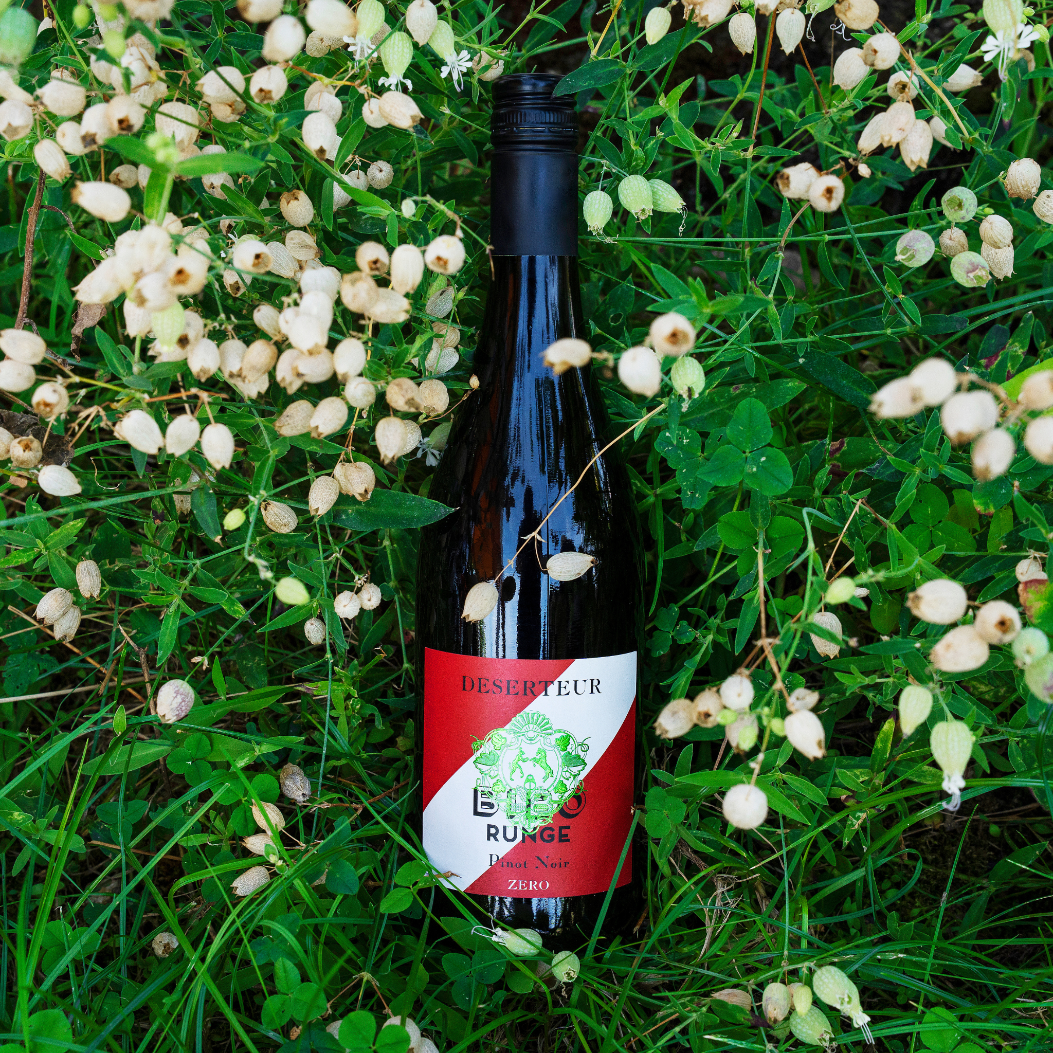 DESERTEUR Pinot Noir - 6er Vorteilspaket alkoholfreier Rotwein