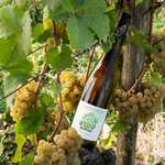 Laden Sie das Bild in den Galerie-Viewer, DESERTEUR Riesling - 3er Probierpaket alkoholfreier Wein
