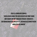 Laden Sie das Bild in den Galerie-Viewer, DESERTEUR Pinot Noir - 6er Vorteilspaket alkoholfreier Rotwein
