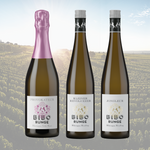 Laden Sie das Bild in den Galerie-Viewer, Für Entdecker - 3er Probierpaket Riesling &amp; Sekt
