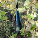 Laden Sie das Bild in den Galerie-Viewer, DESERTEUR Grand Zero - alkoholfreier Wein
