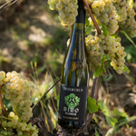 Laden Sie das Bild in den Galerie-Viewer, DESERTEUR Riesling - 6er Vorteilspaket alkoholfreier Wein
