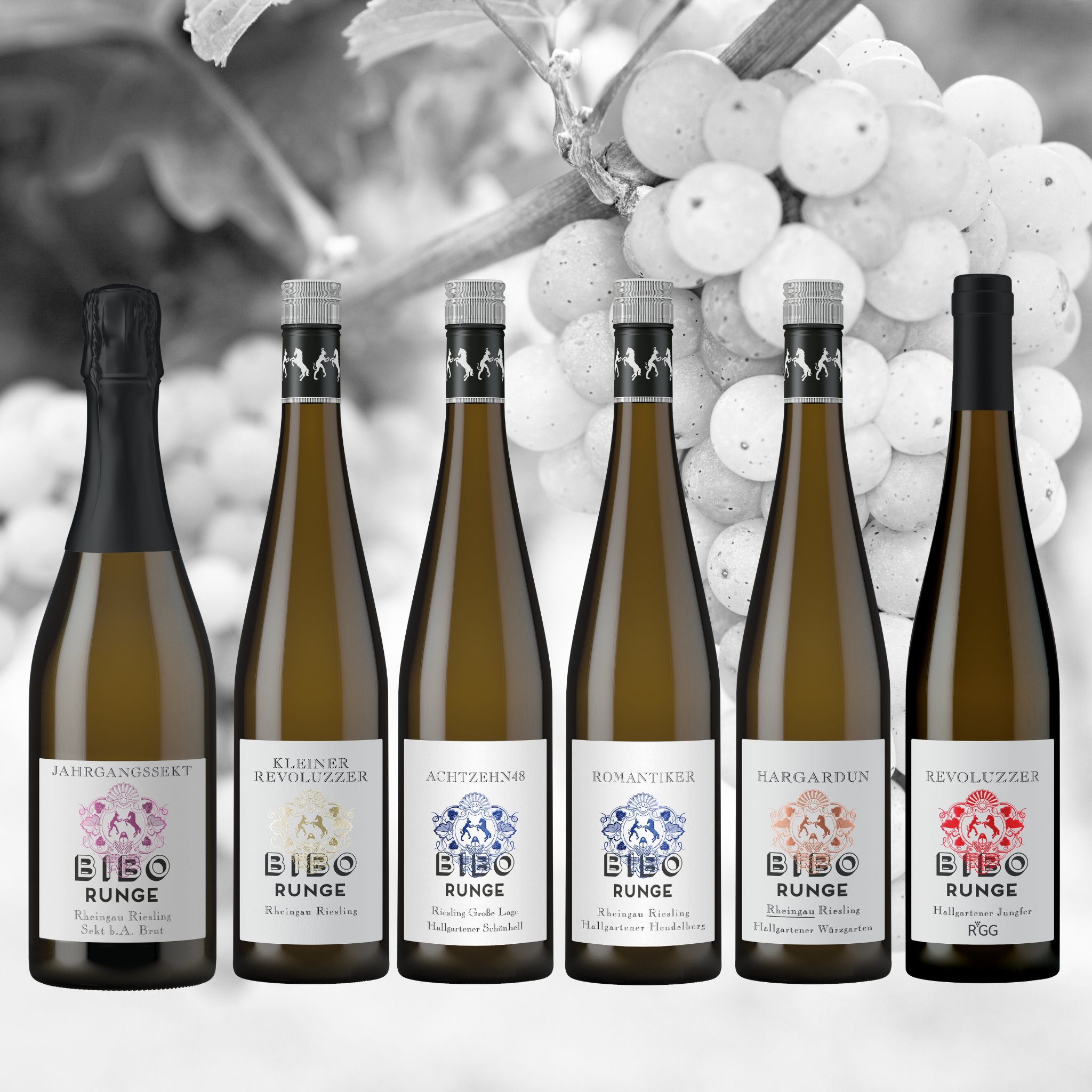 Rieslingliebe - 6er Probierpaket