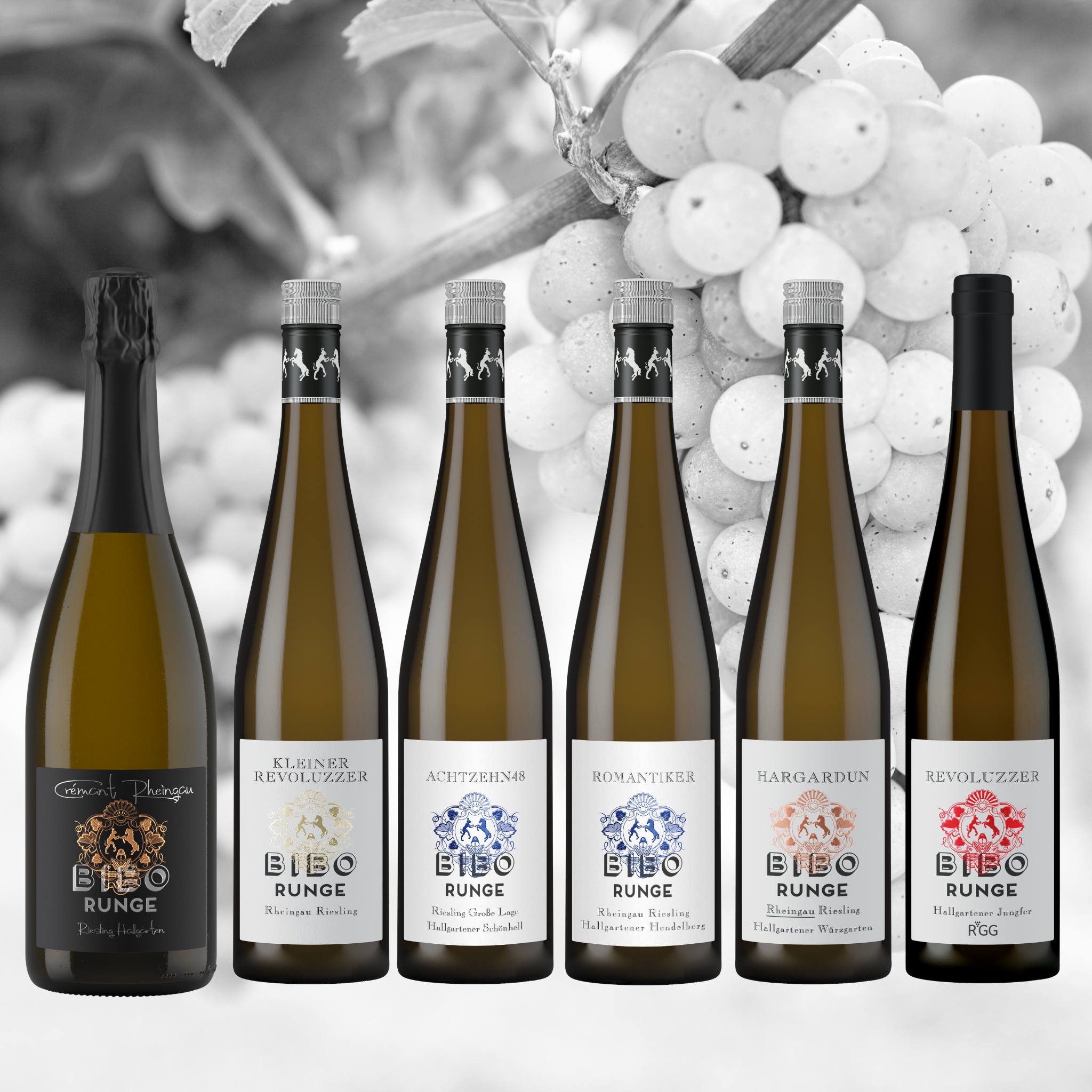 Rieslingliebe - 6er Probierpaket