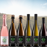 Laden Sie das Bild in den Galerie-Viewer, DESERTEUR Vielfalt Probierpaket - 6 Flaschen "6 für 5" | Alkoholfreier Wein und Sekt
